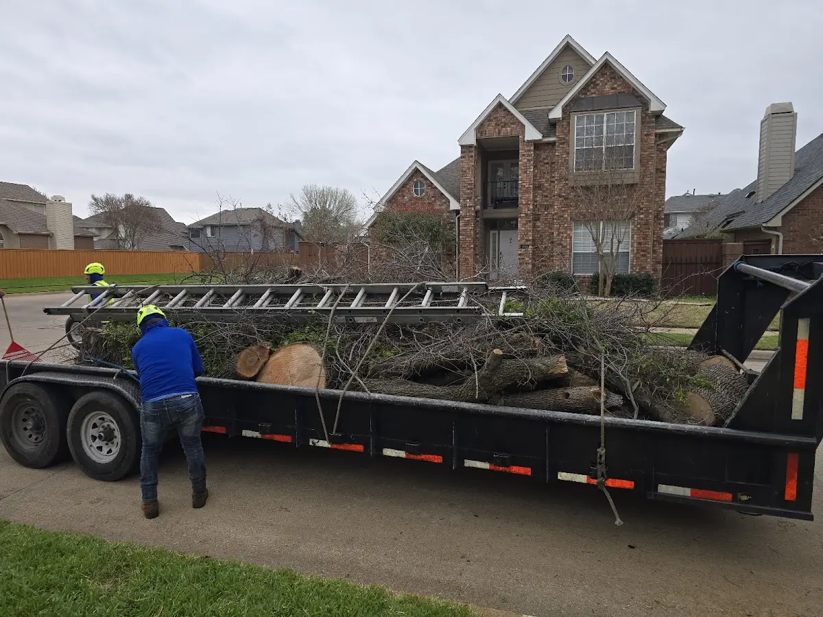 Expert Tree Removal with proper safety equipment in South Dartmouth